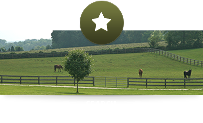 Search Farms And Ranch