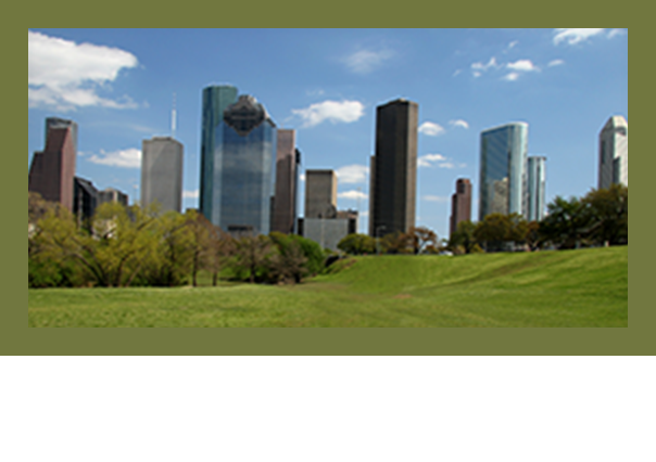 About Houston