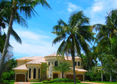 About South Florida Boca Raton Boynton Beach Coconut