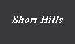 Short Hills, NJ Home Sales
