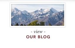 view Our Blog