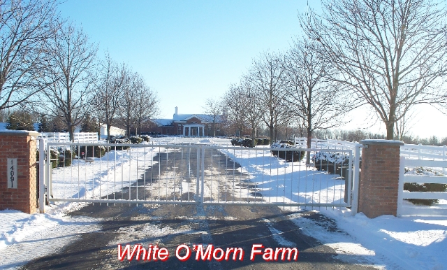 White O'Morn Farm