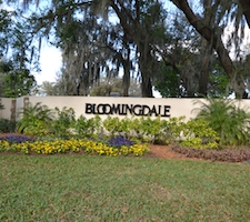 Bloomingdale Homes for Sale