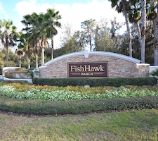 Fishhawk Homes For Sale_Tampa