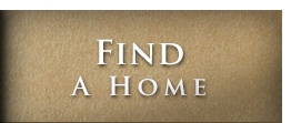 find a home
