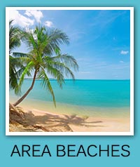 Area Beach Info - Sarasota, Lakewood Ranch, Bradenton, Barrier Islands, Siesta Key, Anna Maria Islands