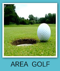 Learn more about Area Golf in Sarasota, Lakewood Ranch, Bradenton, Barrier Islands