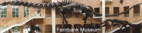 Fernbank Museum of Science