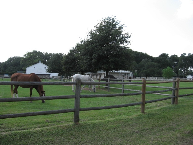 Gleannloch Farms in Spring Texas