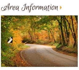Area Information