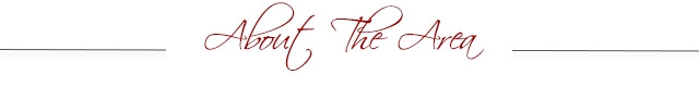 About the Area, Information about Savannah Area