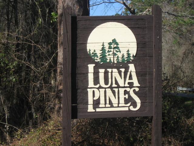 Homes For Sale Luna Pines, Luna Manor, and Luna Plantation
