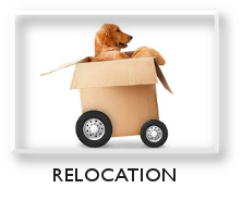 EVE GOGOLA, Keller Williams Realty - RELOCATION -BEVERLY HILLS Homes