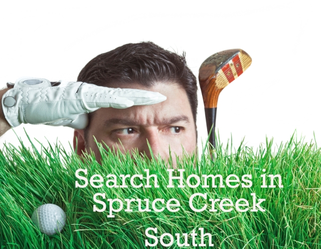Search homes in Spruce Creek South