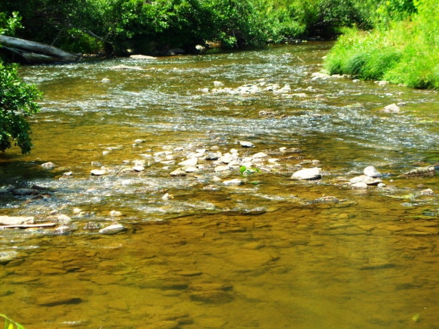 land for sale near boone nc