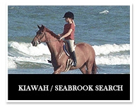 Kiawah/Seabrooke search