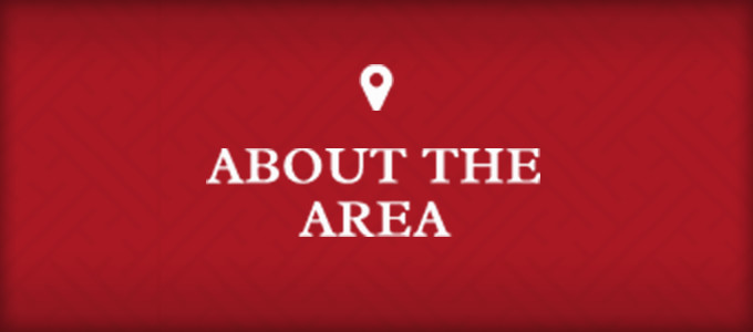 About The Area