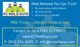 KC Mold Guys